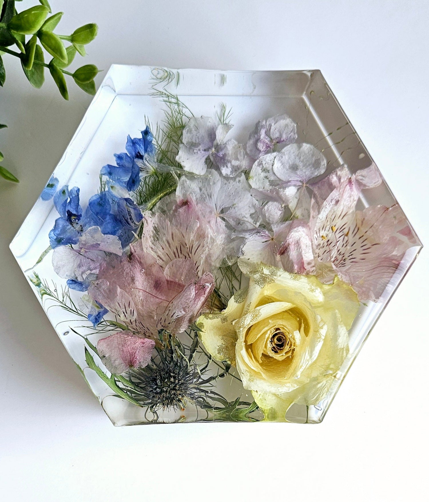 Hexagonal glass tray with pressed flowers on a white surface